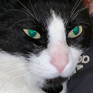 Meet your Posher, John-henry